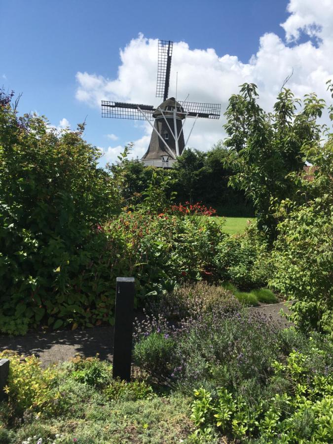 Meeuw Hollum (Ameland) Exterior foto