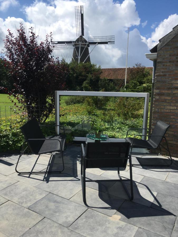 Meeuw Hollum (Ameland) Exterior foto