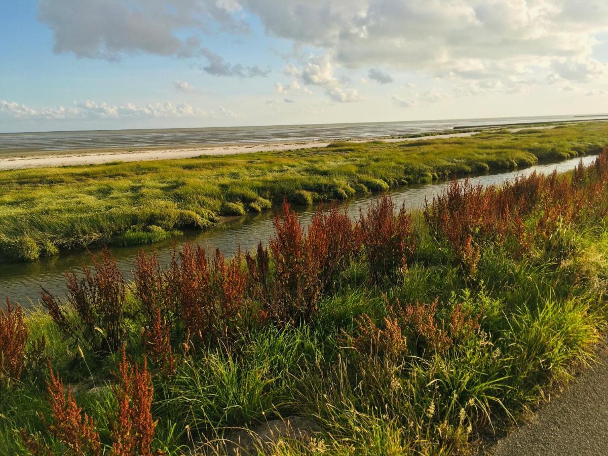Meeuw Hollum (Ameland) Exterior foto