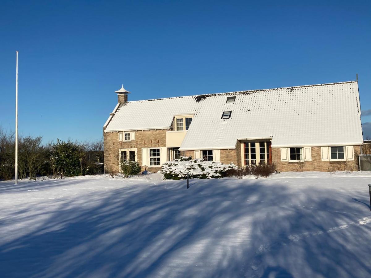 Meeuw Hollum (Ameland) Exterior foto