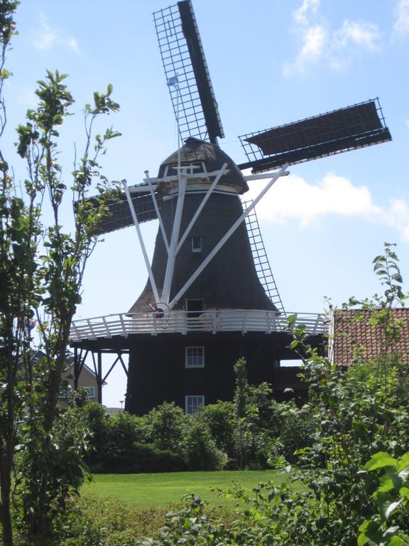 Meeuw Hollum (Ameland) Exterior foto