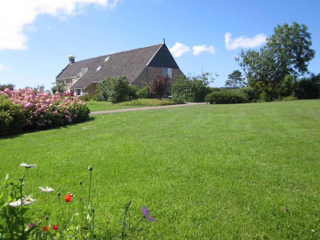 Meeuw Hollum (Ameland) Exterior foto