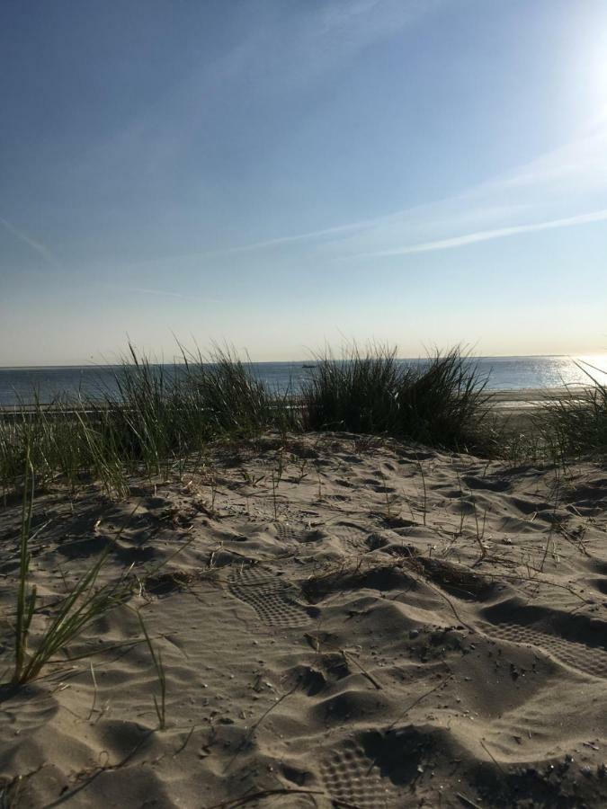 Meeuw Hollum (Ameland) Exterior foto