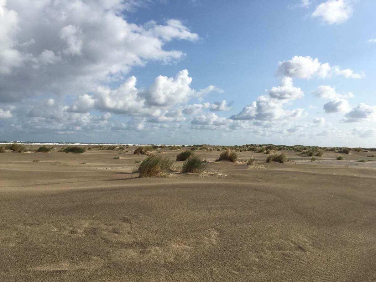 Meeuw Hollum (Ameland) Exterior foto