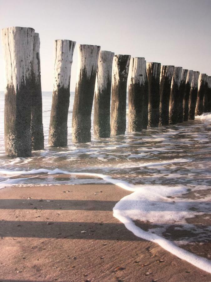Meeuw Hollum (Ameland) Exterior foto